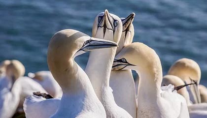 开云官网入口地址-杨瀚森不断挑战自我突破身体极限，杨瀚森 篮球