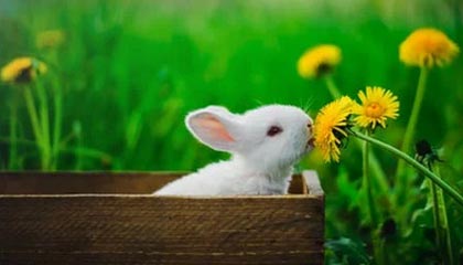 开云官网入口地址-杨瀚森不断挑战自我突破身体极限，杨瀚森 篮球