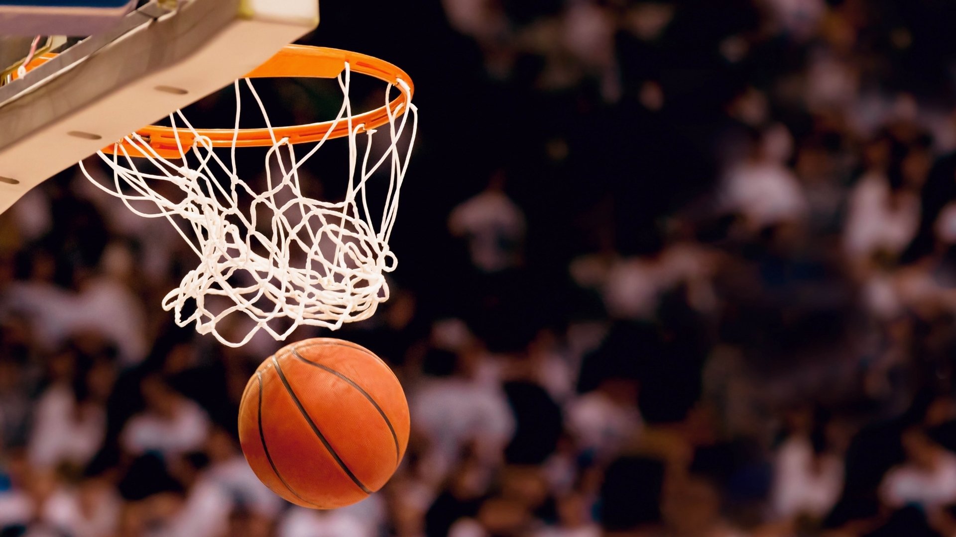 布鲁诺·卡博克洛在NBA夏季联赛中展现篮板能力，布鲁诺卡波科洛 2kol2